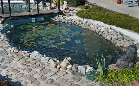 IMG_20200906_104631_1